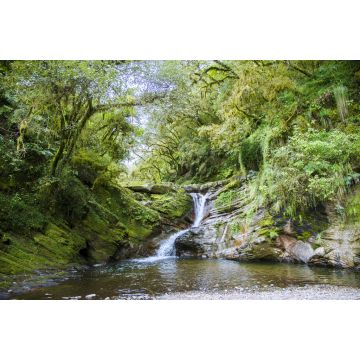 Lais Puzzle - Wasserfall und Bach in den Wäldern des Nationalparks Los Sosa in Tucumán, Argentinien - 2.000 Teile