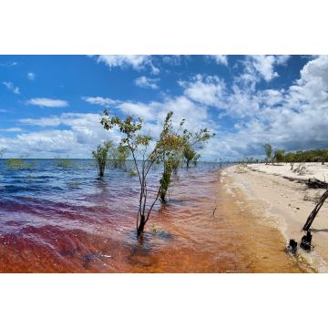 Lais Puzzle - Manaus, Amazonas, Brasilien - 2.000 Teile