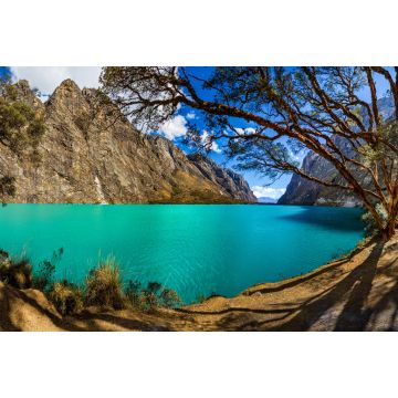 Lais Puzzle - Quenoal-Bäume im Llanganuco-See, in der weißen Bergkette in der Nähe des Huascaran-Berges, in Yungay, Huaraz, Ancash, Peru - 2.000 Teile