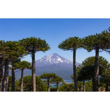 Lais Puzzle - Vulkan Llaima, Chile - 2.000 Teile
