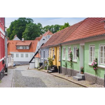 Lais Puzzle - Panorama einer Straße mit kleinen bunten Häusern in Haderslev, Dänemark - 2.000 Teile