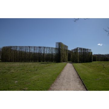 Lais Puzzle - Der Geometrische Garten in Herning, Dänemark - 2.000 Teile