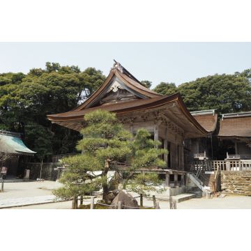 Lais Puzzle - Keta Taisha Schrein auf der Halbinsel Noto, Japan - 2.000 Teile
