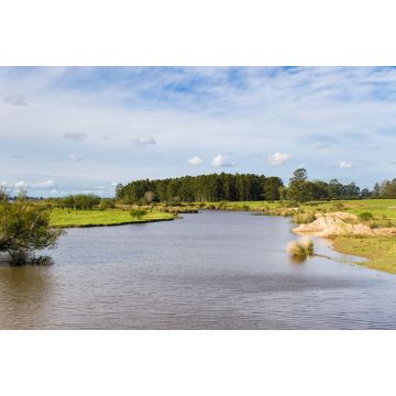Lais Puzzle - Feldlandschaft mit Bach und Eukalyptusaufforstung in Federacion Entre Rios Argentinien - 2.000 Teile