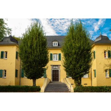 Lais Puzzle - Jüchen - 2.000 Teile