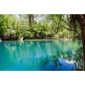 Lais Puzzle - Berry Springs, eine Süßwasserquelle im Northern Territory, Australien - 2.000 Teile