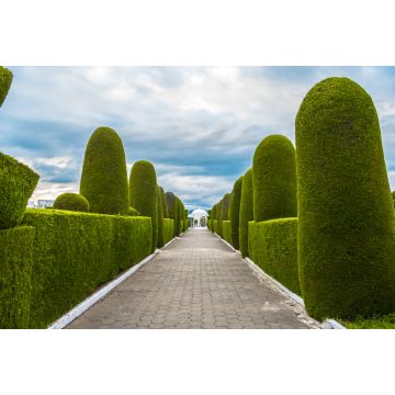 Lais Puzzle - Weg im Park, Ecuador - 2.000 Teile