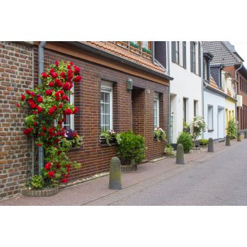 Lais Puzzle - Geldern - 2.000 Teile