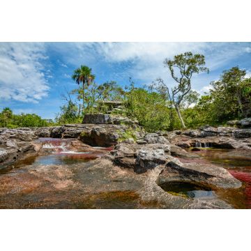 Lais Puzzle - Caño Cristales Kolumbien , Rio de Colores - 2.000 Teile