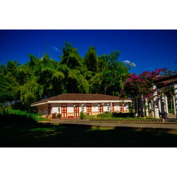 Lais Puzzle - Eje Cafetero Landschaft Kolumbien Biodiversität Guadual Wald Quindio Armenia Pereira Kolumbien - 2.000 Teile