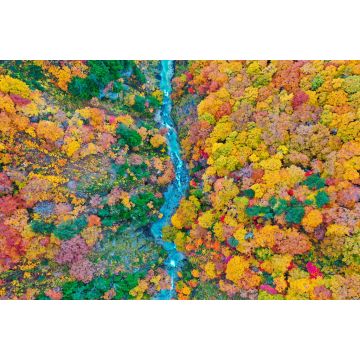 Lais Puzzle - Berg Hakkoda, Japan - 2.000 Teile