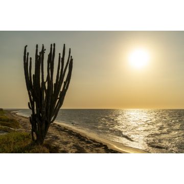 Lais Puzzle - Wüste Guajira, Kolumbien - 2.000 Teile