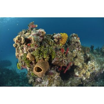 Lais Puzzle - Korallenriff in San Andres Kolumbien - 2.000 Teile