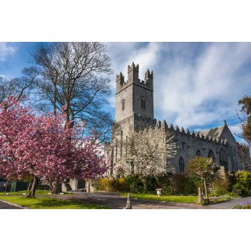 Lais Puzzle - Kirschblüte im Frühling in Limerick, Irland - 2.000 Teile
