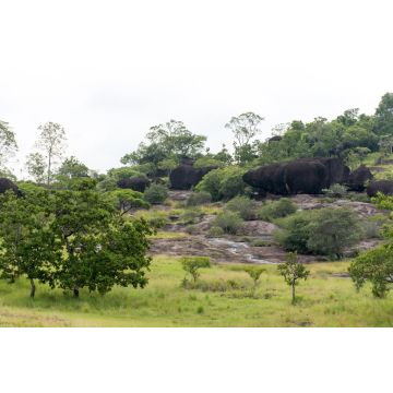 Lais Puzzle - El Tuparro Orinoco Park Felsformation Kolumbien - 2.000 Teile