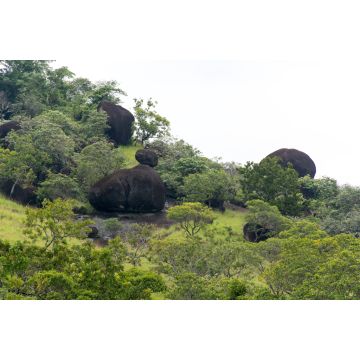 Lais Puzzle - El Tuparro Orinoco Park Felsformation Kolumbien - 2.000 Teile