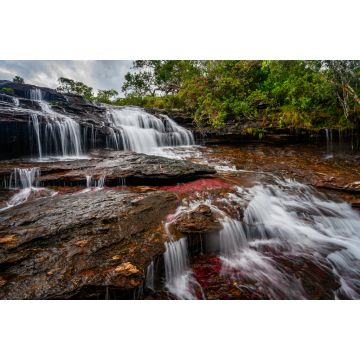 Lais Puzzle - Der Regenbogenfluss oder Fünf-Farben-Fluss ist in Kolumbien einer der schönsten Naturorte, er heißt Crystal Canyon - 2.000 Teile