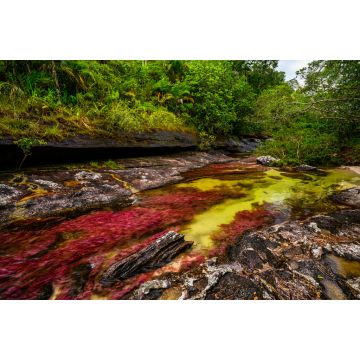 Lais Puzzle - Der Regenbogen-Fluss oder Fünf-Farben-Fluss ist in Kolumbien einer der schönsten Naturorte, er heißt Crystal Canyon - 2.000 Teile