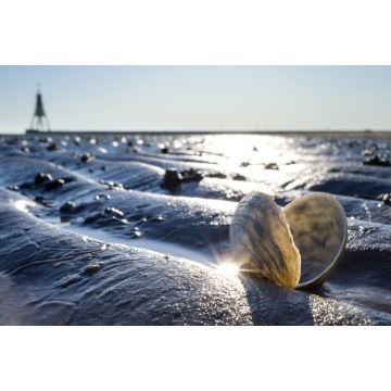 Lais Puzzle - Sandschneise im Wattenmeer in Cuxhaven mit der Kugelbake, einem historischen Hilfsmittel am nördlichsten Punkt Niedersachsens, im Hintergrund - 2.000 Teile