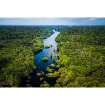 Lais Puzzle - Amazonas-Regenwald im Anavilhanas-Nationalpark, Amazonas - Brasilien - 2.000 Teile