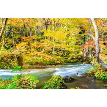 Lais Puzzle - Towada-Hachimantai-Nationalpark, Japan - 2.000 Teile