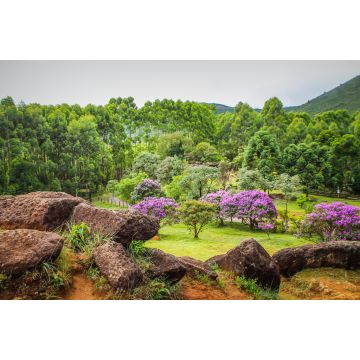 Lais Puzzle - Felsbrocken, Berge und Natur in Poços de Caldas, Minas Gerais, Brasilien - 2.000 Teile
