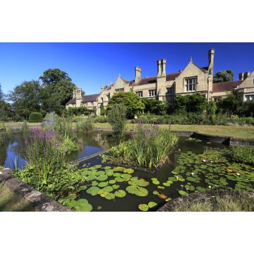 Lais Puzzle - RSPB Lodge, Sandy Heath, Sandy Stadt, Bedfordshire, England - 2.000 Teile