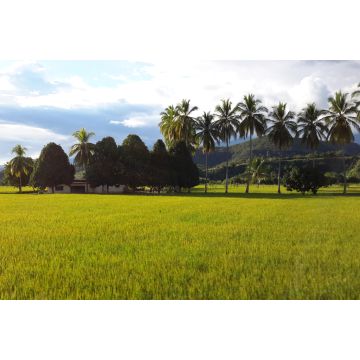 Lais Puzzle - Bagua Peru Landschaft - 2.000 Teile
