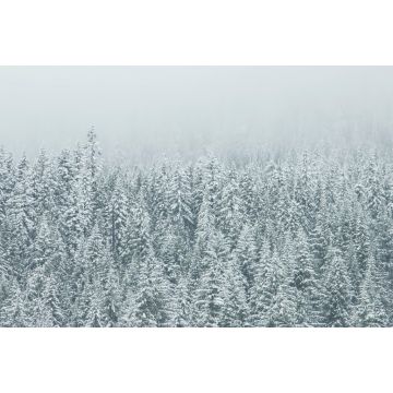 Lais Puzzle - Winterlandschaft - 2.000 Teile