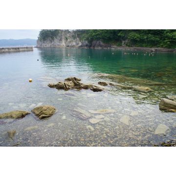 Lais Puzzle - Jodogahama Strand in Iwate, Japan - 2.000 Teile