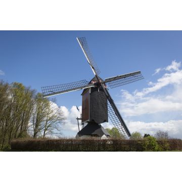 Lais Puzzle - Historische Windmühle in Someren, die Niederlande - 2.000 Teile