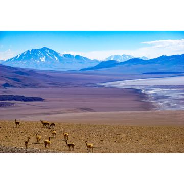 Lais Puzzle - Blick auf die hochgelegene Wüste in der Puna-Region von Salta, Argentinien - 2.000 Teile
