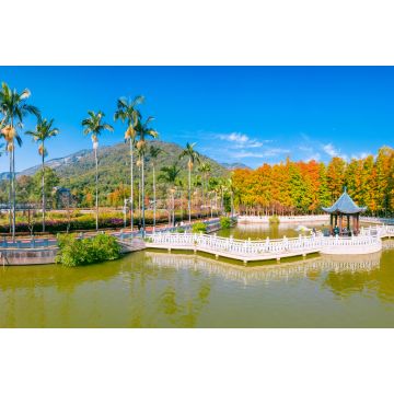 Lais Puzzle - Fuzhou National Forest Park, Provinz Fujian, China - 2.000 Teile