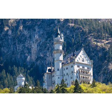 Lais Puzzle - Schloss Neuschwanstein - 2.000 Teile