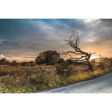 Lais Puzzle - Sommerabend in der Nähe von Kilsyth, North Lanarkshire - 2.000 Teile