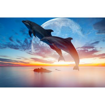 Lais Puzzle - Springende Delfine vor Mond - 2.000 Teile