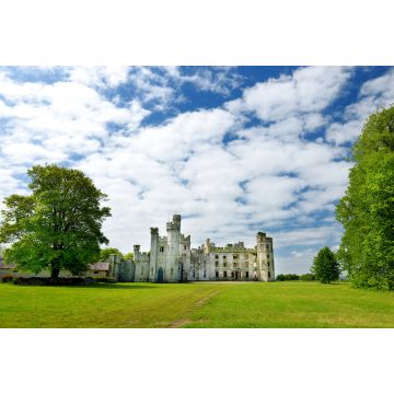 Lais Puzzle - Die Türme und Türmchen von Ducketts Grove, einer Hausruine aus dem 19. Jahrhundert in der Grafschaft Carlow, Irland - 2.000 Teile