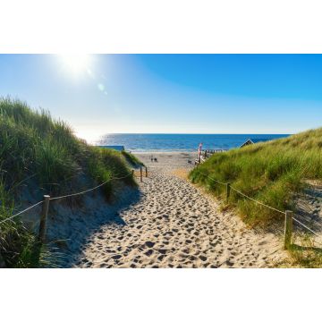 Lais Puzzle - Zugang zum Strand in den Dünen von Texel, Niederlande - 2.000 Teile
