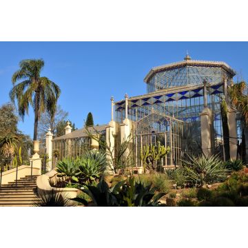 Lais Puzzle - Palmenhaus in einem botanischen Garten, Adelaide, Australien - 2.000 Teile