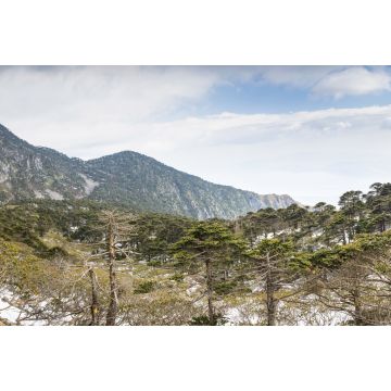Lais Puzzle - Berg Cang, Yunnan, China - 2.000 Teile