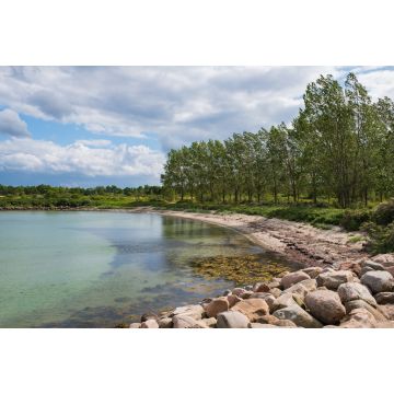 Lais Puzzle - Knudshoved Marina im Sommer. Hjejlevej, Nyborg, Dänemark - 2.000 Teile