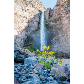 Lais Puzzle - Riesiger Wasserfall in der Wüste. Detail des Wüstenlebens. Antuco Vulkan schwarze Vulkanwüste. Blühende Blumen, Bäume und Steine in der Nähe des Baches. - 2.000 Teile