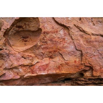 Lais Puzzle - Der Nationalpark Serra da Capivara liegt in der Caatinga, dem einzigen ausschließlich brasilianischen Biome, Piaui - Brasilien - 2.000 Teile