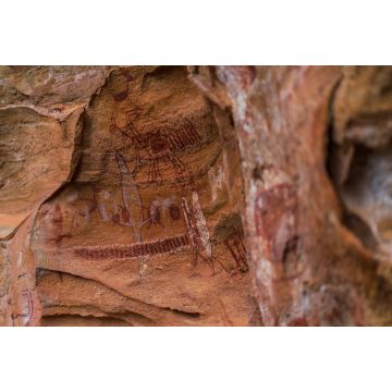 Lais Puzzle - Der Nationalpark Serra da Capivara liegt in der Caatinga, dem einzigen ausschließlich brasilianischen Biome. Piaui - Brasilien - 2.000 Teile