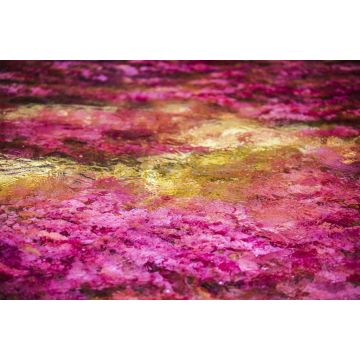 Lais Puzzle - Caño cristales, Kolumbien - 2.000 Teile