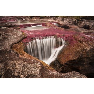 Lais Puzzle - Caño cristales, Kolumbien - 2.000 Teile