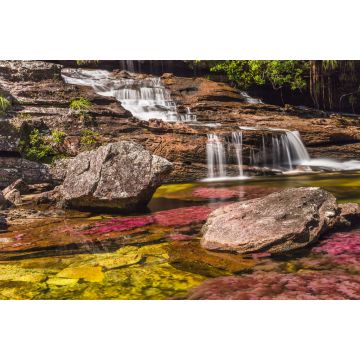 Lais Puzzle - Caño cristales, Kolumbien - 2.000 Teile