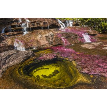Lais Puzzle - Caño cristales, Kolumbien - 2.000 Teile