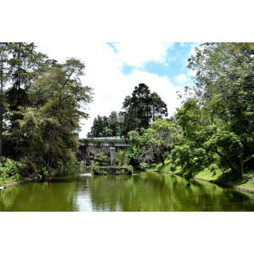 Lais Puzzle - Los Lagos, Xalapa Veracruz, Mexiko - 2.000 Teile