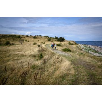 Lais Puzzle - Landschaft auf Fyns Hoved - 2.000 Teile